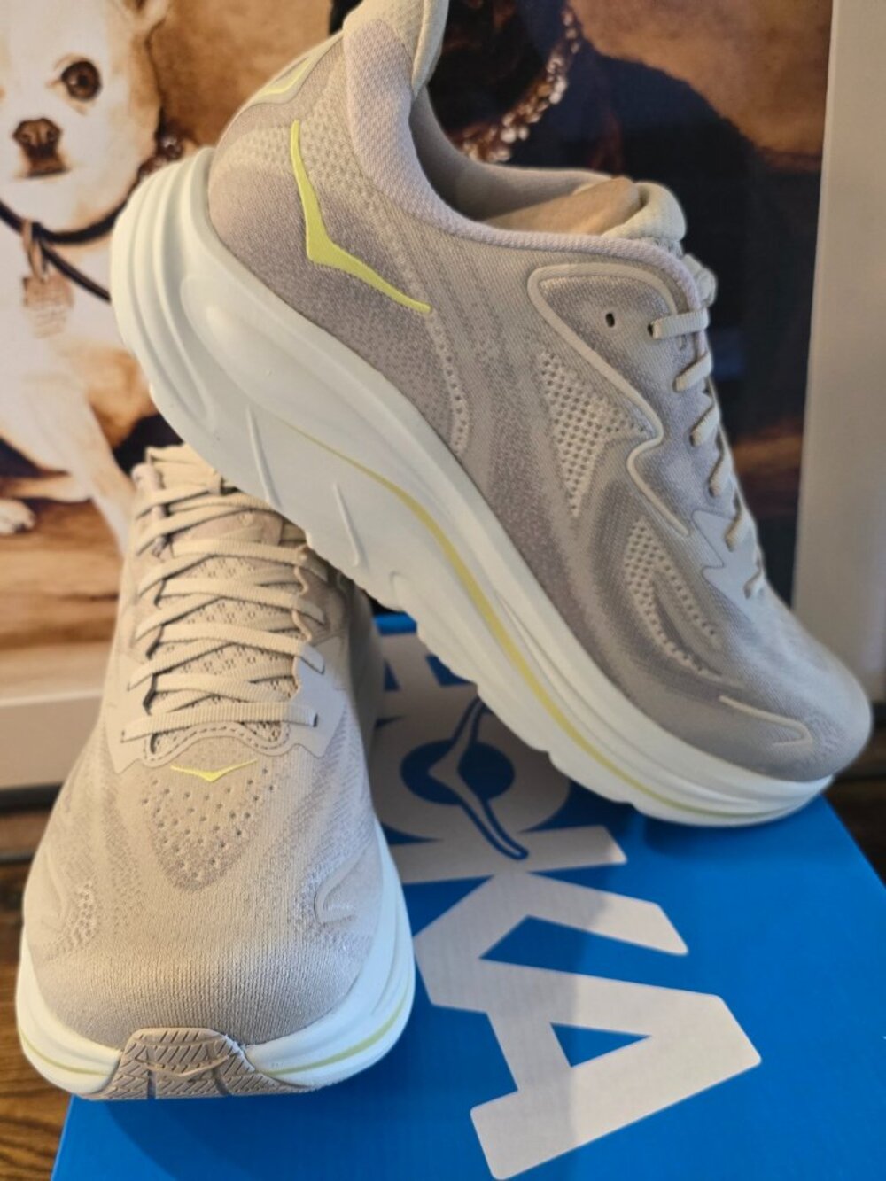 Hoka One One Clifton 10 Shoes 2E Wide Beige / Linen 1162032-RNN Men's Sz 10 NEW